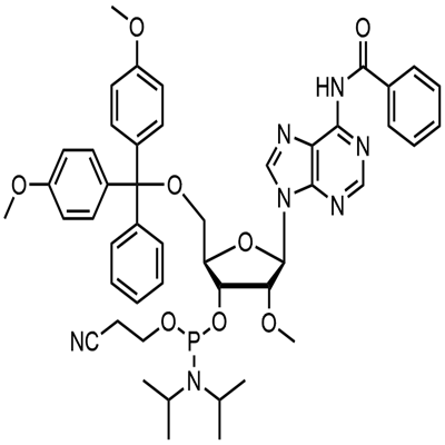 २’-ओ-मिथाइल-आरए (एन-बीजेड) फोस्फोरामिडाइट