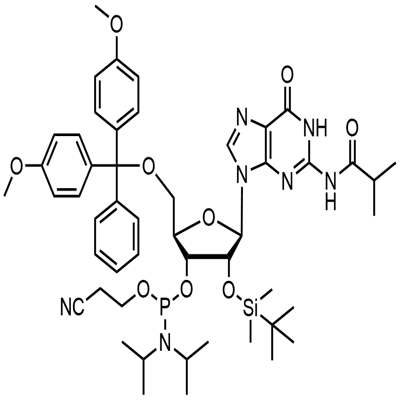5'-O-(4,4-Dimethoxytrityl)-2'-O-[(tert-butyl)dimethylsilyl]-N-isobutyrylguanosine-3'-(2-cyanoethyl-N,N-diisopropyl) phosphoramidite