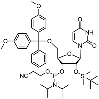 5'-O-(4,4-Dimethoxytrityl)-2'-O-[(tert-butyl)dimethylsilyl]uridine-3'-(2-cyanoethyl-N,N-diisopropyl) phosphoramidite