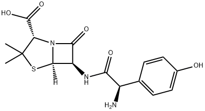 एमोक्सिसिलिन