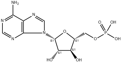 स्पाइडर-एएमपी