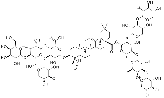 Gynostemma बिरुवा निकासी