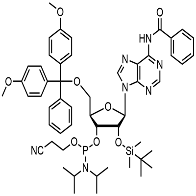N-Benzoyl-5'-O-(4,4-Dimethoxytrityl)-2'-O-[(tert-butyl)dimethylsilyl]adenosine-3'-(2-cyanoethyl-N,N-diisopropyl) phosphoramidite