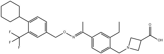 सिपोनिमोड
