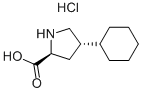 trans-4-Cyclohexyl-L-proline हाइड्रोक्लोराइड